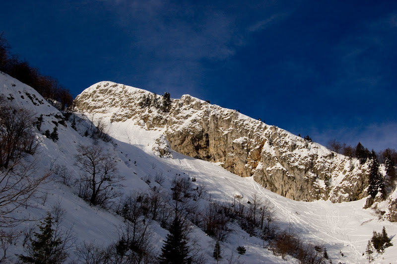goli vrh